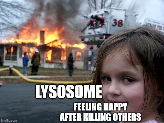 Lysomesll Cell oragnelle | LYSOSOME; FEELING HAPPY AFTER KILLING OTHERS | made w/ Imgflip meme maker