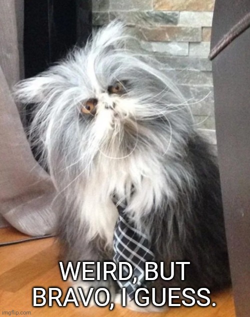 What the? | WEIRD, BUT BRAVO, I GUESS. | image tagged in what the | made w/ Imgflip meme maker