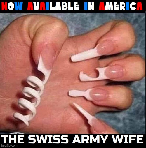Things from Switzerland are a Big Plus, especially their Flag | image tagged in vince vance,swiss army knife,wife,fingernails,tools,manicure | made w/ Imgflip meme maker