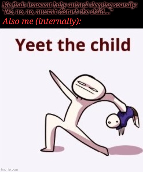 I Should Be Scared Of Myself, Sometimes | Me finds innocent baby animal sleeping soundly:
"No, no, no, mustn't disturb the child...."; Also me (internally): | image tagged in yeet the child,baby,animals,sleeping,cute,intrusive thoughts | made w/ Imgflip meme maker