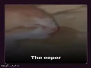 goodnight chat | image tagged in the eeper | made w/ Imgflip meme maker
