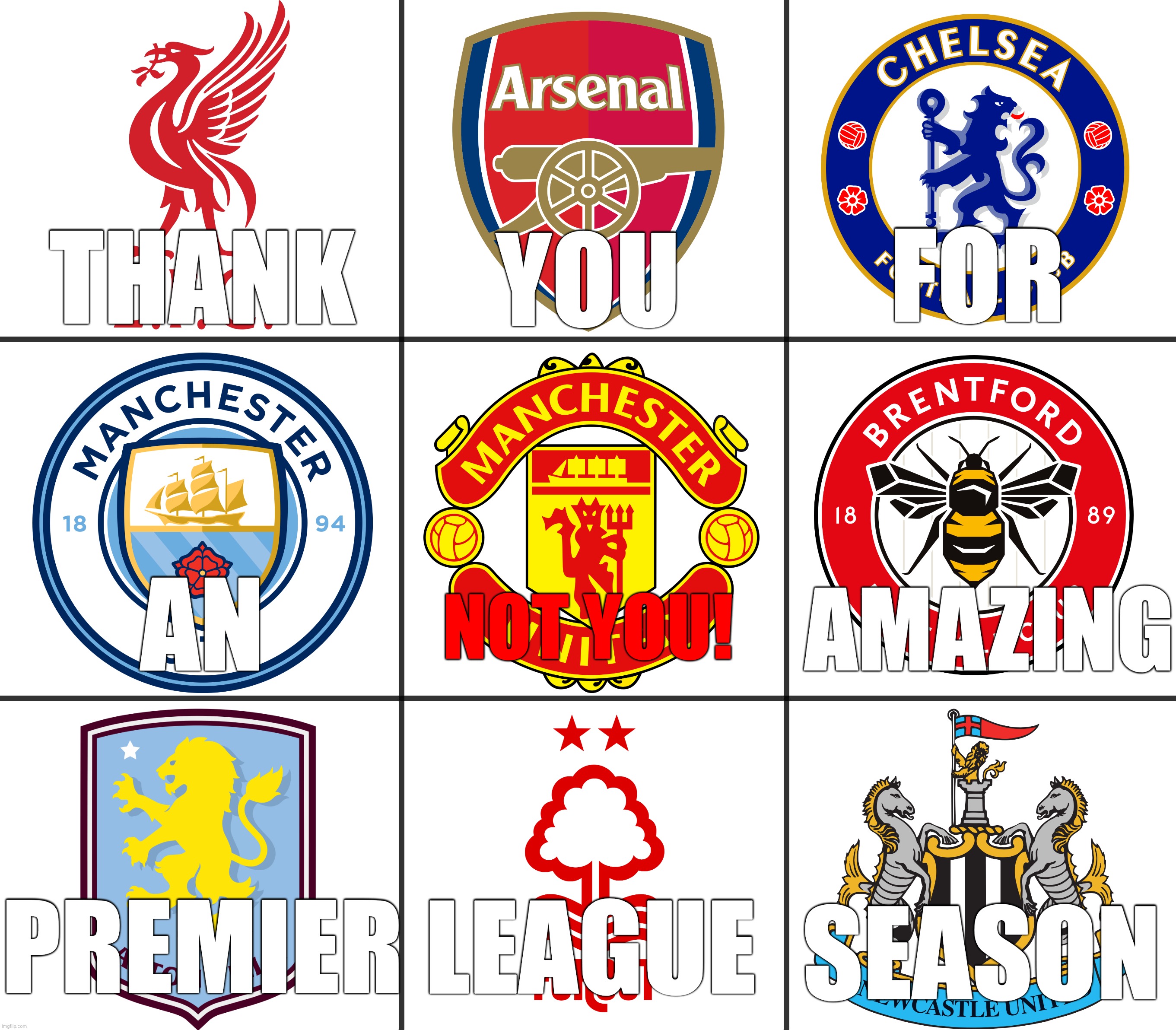 So true (Tag a Man United fan) | YOU; FOR; THANK; AN; AMAZING; NOT YOU! PREMIER; LEAGUE; SEASON | image tagged in premier league,arsenal,chelsea,liverpool,man united,sports | made w/ Imgflip meme maker