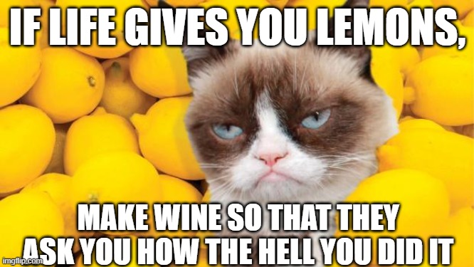 make wine guys | IF LIFE GIVES YOU LEMONS, MAKE WINE SO THAT THEY ASK YOU HOW THE HELL YOU DID IT | image tagged in grumpy cat lemons,wine,emotional advice | made w/ Imgflip meme maker
