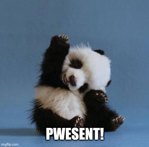 Panda | PWESENT! | image tagged in panda | made w/ Imgflip meme maker
