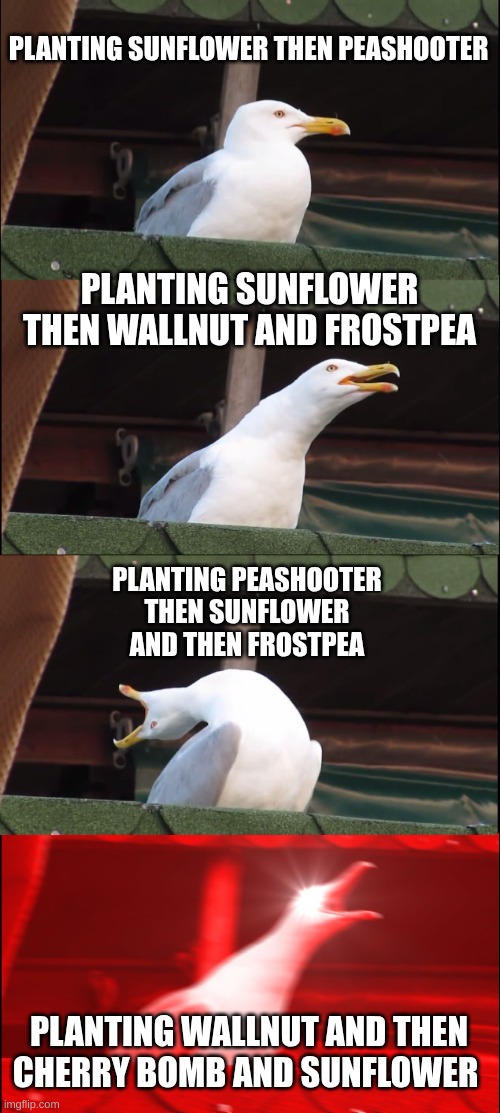 Inhaling Seagull | PLANTING SUNFLOWER THEN PEASHOOTER; PLANTING SUNFLOWER THEN WALLNUT AND FROSTPEA; PLANTING PEASHOOTER THEN SUNFLOWER AND THEN FROSTPEA; PLANTING WALLNUT AND THEN CHERRY BOMB AND SUNFLOWER | image tagged in memes,inhaling seagull | made w/ Imgflip meme maker