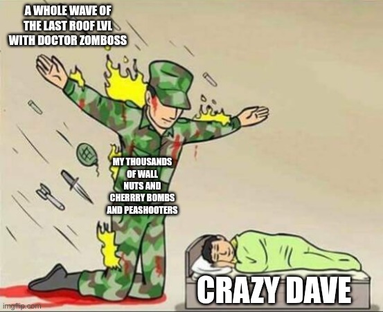 Soldier protecting sleeping child | A WHOLE WAVE OF THE LAST ROOF LVL WITH DOCTOR ZOMBOSS; MY THOUSANDS OF WALL NUTS AND CHERRRY BOMBS AND PEASHOOTERS; CRAZY DAVE | image tagged in soldier protecting sleeping child | made w/ Imgflip meme maker