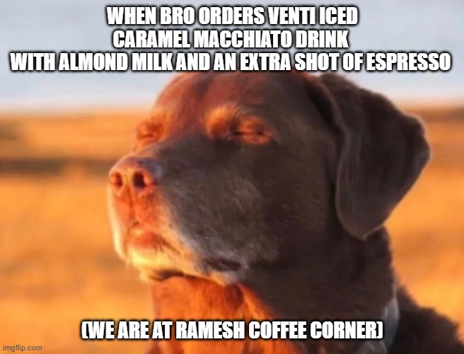 Dog accepting fate | WHEN BRO ORDERS VENTI ICED CARAMEL MACCHIATO DRINK 
WITH ALMOND MILK AND AN EXTRA SHOT OF ESPRESSO; (WE ARE AT RAMESH COFFEE CORNER) | image tagged in dog accepting fate | made w/ Imgflip meme maker