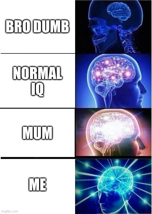 Expanding Brain | BRO DUMB; NORMAL IQ; MUM; ME | image tagged in memes,expanding brain | made w/ Imgflip meme maker
