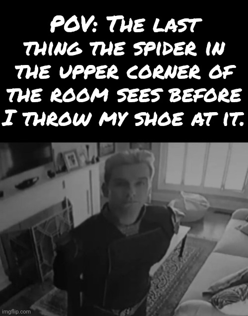 I should have made this 8 panels to represent the spiders 8 eyes. | POV: The last thing the spider in the upper corner of the room sees before I throw my shoe at it. | image tagged in homelander staring,spider,pov | made w/ Imgflip meme maker
