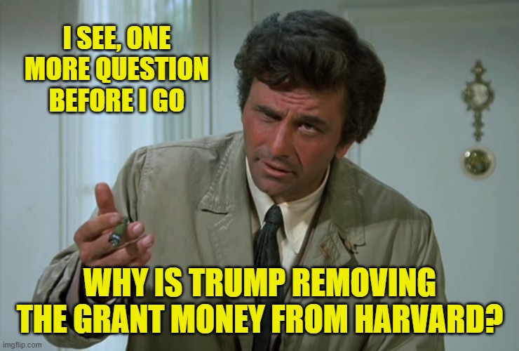 Columbo | I SEE, ONE MORE QUESTION BEFORE I GO WHY IS TRUMP REMOVING THE GRANT MONEY FROM HARVARD? | image tagged in columbo | made w/ Imgflip meme maker
