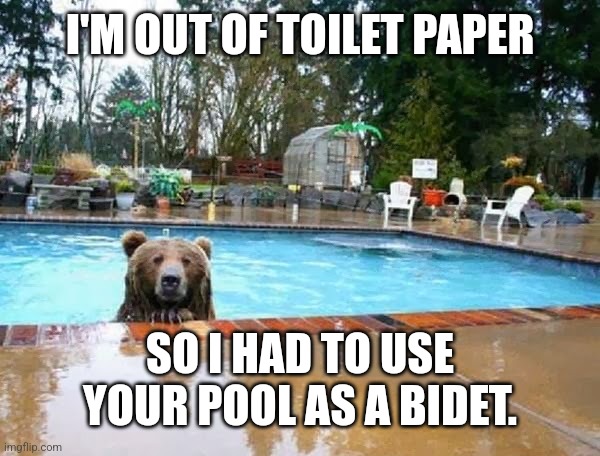 bear in pool | I'M OUT OF TOILET PAPER SO I HAD TO USE YOUR POOL AS A BIDET. | image tagged in bear in pool | made w/ Imgflip meme maker