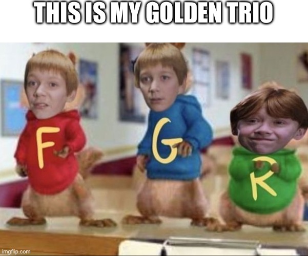 This is my golden trio | THIS IS MY GOLDEN TRIO | image tagged in funny | made w/ Imgflip meme maker