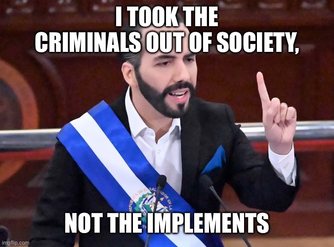 Nayib Bukele | I TOOK THE CRIMINALS OUT OF SOCIETY, NOT THE IMPLEMENTS | image tagged in nayib bukele | made w/ Imgflip meme maker