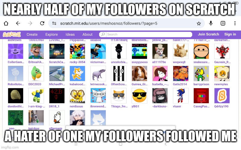 Nearly half of my followers | NEARLY HALF OF MY FOLLOWERS ON SCRATCH; A HATER OF ONE MY FOLLOWERS FOLLOWED ME | image tagged in scratch | made w/ Imgflip meme maker