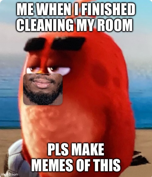 Red Meme | ME WHEN I FINISHED CLEANING MY ROOM; PLS MAKE MEMES OF THIS | image tagged in angry birds,espn,funny | made w/ Imgflip meme maker