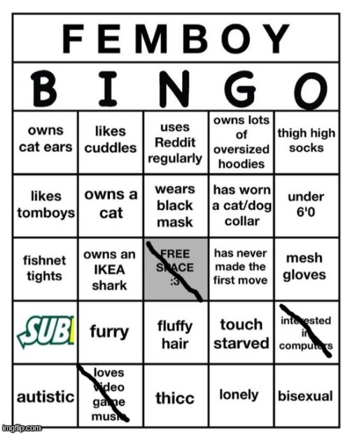 ts ass | image tagged in femboy bingo | made w/ Imgflip meme maker