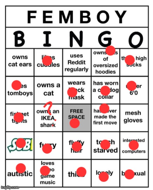 I WIN!!!! | image tagged in femboy bingo | made w/ Imgflip meme maker