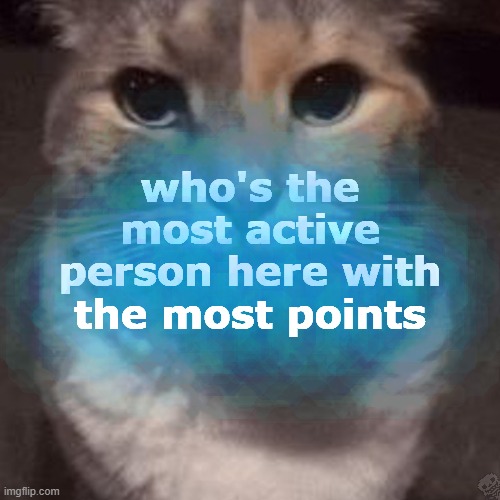 :3 | who's the most active person here with the most points | image tagged in undertale,understream,users,user,points,point | made w/ Imgflip meme maker