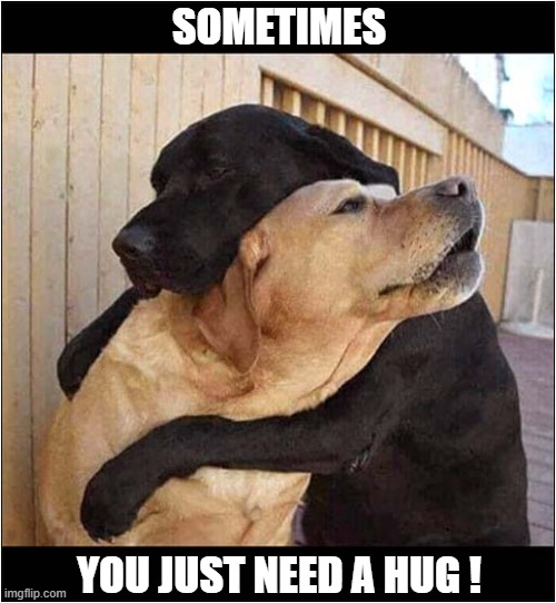 There, There ... It'll Be Alright ! | SOMETIMES; YOU JUST NEED A HUG ! | image tagged in dogs,hug | made w/ Imgflip meme maker