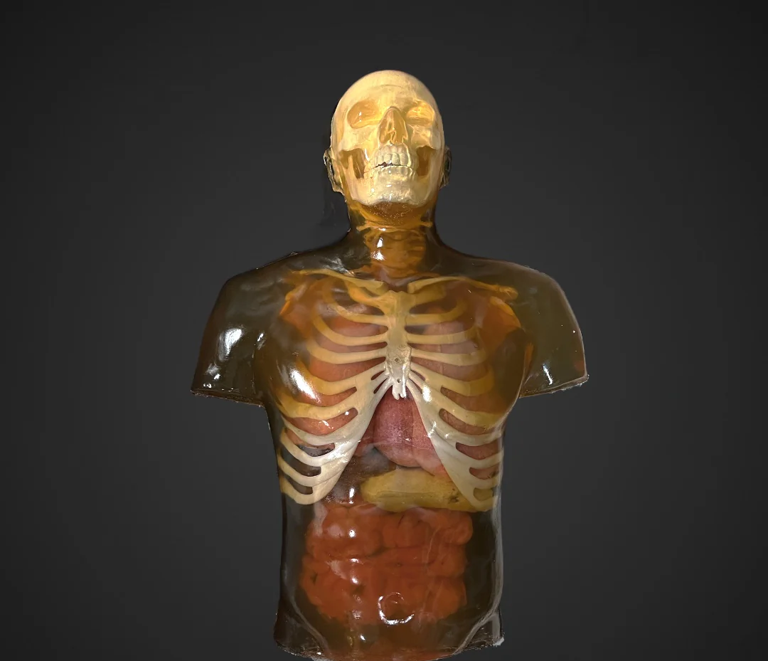 ballistic gel torso dummy Blank Meme Template