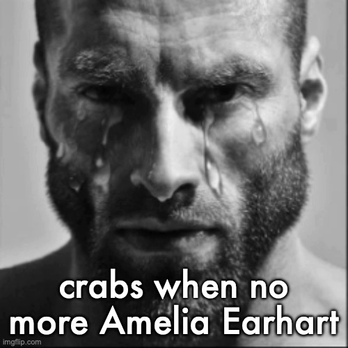 Crying Gigachad | crabs when no more Amelia Earhart | image tagged in crying gigachad | made w/ Imgflip meme maker