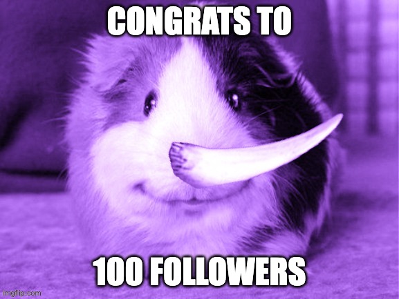 happy STH5 | CONGRATS TO; 100 FOLLOWERS | image tagged in happy sth5,memes,smg4,fanlore,sth5,smg5 | made w/ Imgflip meme maker