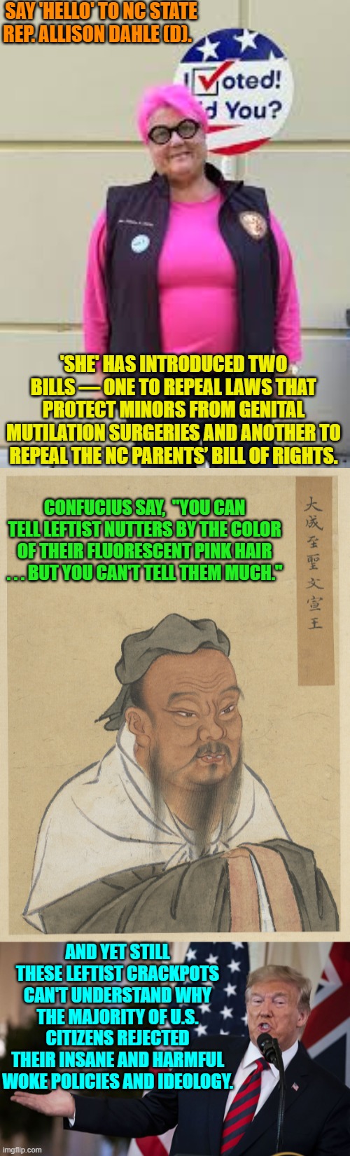 Leftists:  We don't have a clue why we got wiped out in the 2024 presidential election. | SAY 'HELLO' TO NC STATE REP. ALLISON DAHLE (D). 'SHE' HAS INTRODUCED TWO BILLS — ONE TO REPEAL LAWS THAT PROTECT MINORS FROM GENITAL MUTILATION SURGERIES AND ANOTHER TO REPEAL THE NC PARENTS’ BILL OF RIGHTS. CONFUCIUS SAY,  "YOU CAN TELL LEFTIST NUTTERS BY THE COLOR OF THEIR FLUORESCENT PINK HAIR . . . BUT YOU CAN'T TELL THEM MUCH."; AND YET STILL THESE LEFTIST CRACKPOTS CAN'T UNDERSTAND WHY THE MAJORITY OF U.S. CITIZENS REJECTED THEIR INSANE AND HARMFUL WOKE POLICIES AND IDEOLOGY. | image tagged in yep | made w/ Imgflip meme maker