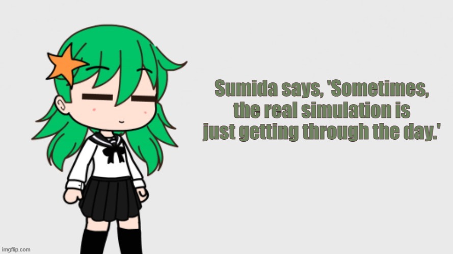 Sumida says | Sumida says, 'Sometimes, the real simulation is just getting through the day.' | image tagged in sumida shimeji simulation pm/npc | made w/ Imgflip meme maker