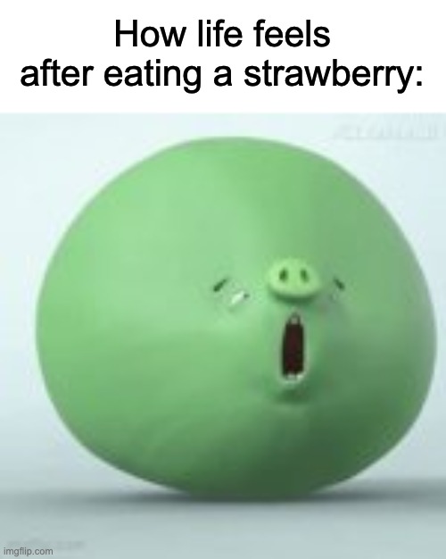 angry birds pig | How life feels after eating a strawberry: | image tagged in angry birds pig | made w/ Imgflip meme maker