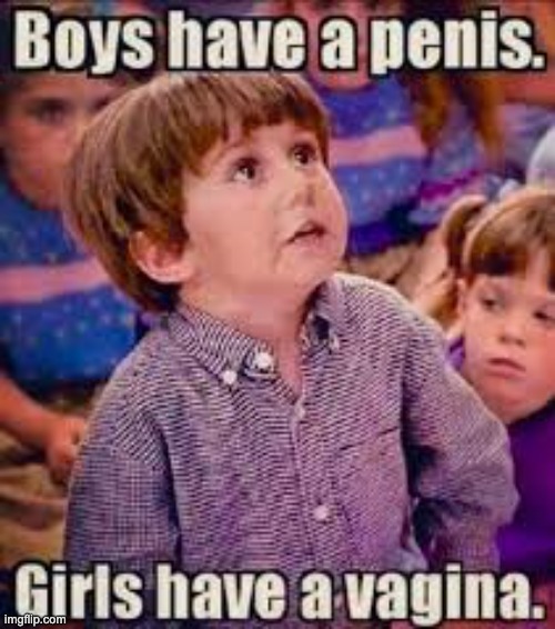 pretty simple | image tagged in kindergarten cop meme,memes,conservative,trans,tranny,trump | made w/ Imgflip meme maker