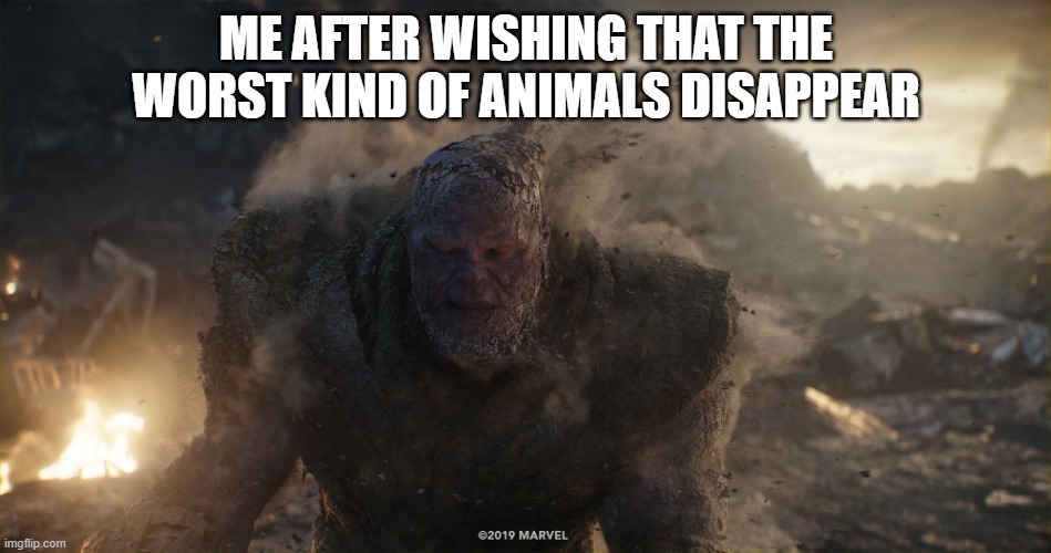 (-_-) | ME AFTER WISHING THAT THE WORST KIND OF ANIMALS DISAPPEAR | image tagged in thanos turns to dust | made w/ Imgflip meme maker