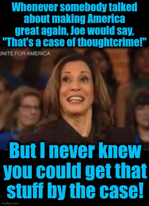 Your next governor of California | Whenever somebody talked about making America great again, Joe would say, "That's a case of thoughtcrime!"; But I never knew you could get that stuff by the case! | image tagged in memes,kamala harris,thoughtcrime,democrats,idiot,case | made w/ Imgflip meme maker