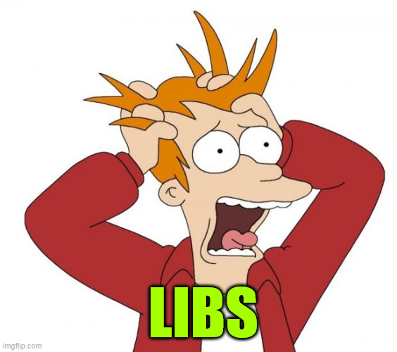 Panic | LIBS | image tagged in panic | made w/ Imgflip meme maker