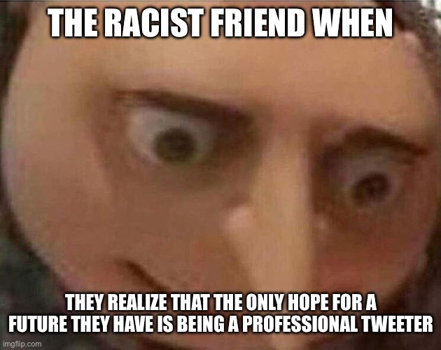 gru meme | THE RACIST FRIEND WHEN; THEY REALIZE THAT THE ONLY HOPE FOR A FUTURE THEY HAVE IS BEING A PROFESSIONAL TWEETER | image tagged in gru meme,twitter,racism | made w/ Imgflip meme maker