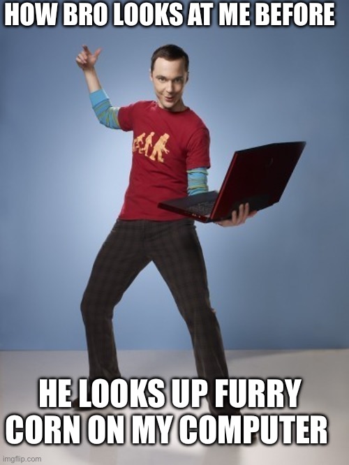 Sheldon Laptop | HOW BRO LOOKS AT ME BEFORE; HE LOOKS UP FURRY CORN ON MY COMPUTER | image tagged in sheldon laptop,relatable | made w/ Imgflip meme maker