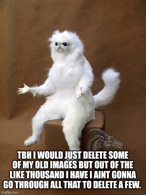 So...I may not post for a while either but im prolly just gonna comment here and there | TBH I WOULD JUST DELETE SOME OF MY OLD IMAGES BUT OUT OF THE LIKE THOUSAND I HAVE I AINT GONNA GO THROUGH ALL THAT TO DELETE A FEW. | image tagged in memes,persian cat room guardian single | made w/ Imgflip meme maker