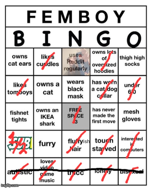 Femboy Bingo | ish | image tagged in femboy bingo | made w/ Imgflip meme maker