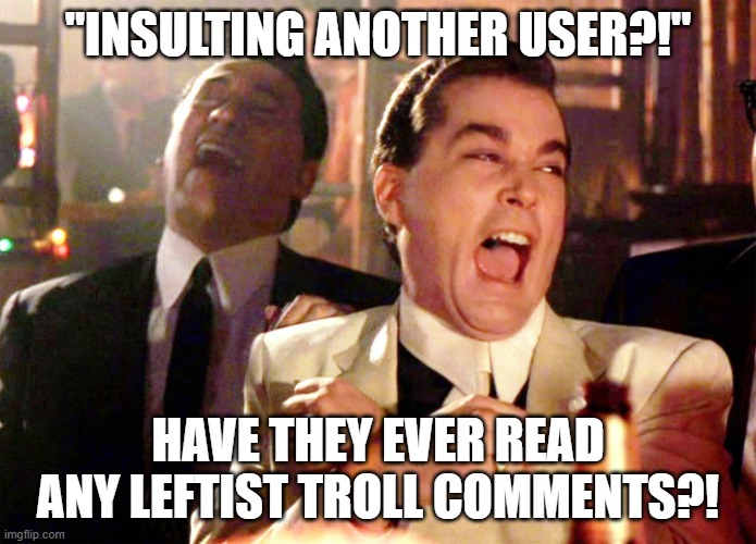 Good Fellas Hilarious Meme | "INSULTING ANOTHER USER?!" HAVE THEY EVER READ ANY LEFTIST TROLL COMMENTS?! | image tagged in memes,good fellas hilarious | made w/ Imgflip meme maker