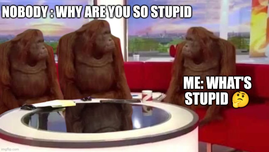 where monkey | NOBODY : WHY ARE YOU SO STUPID; ME: WHAT'S STUPID 🤔 | image tagged in where monkey | made w/ Imgflip meme maker