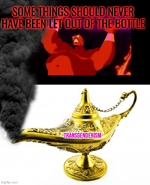 SOME THINGS SHOULD NEVER HAVE BEEN LET OUT OF THE BOTTLE transgenderism | image tagged in jafar genie,genie lamp | made w/ Imgflip meme maker