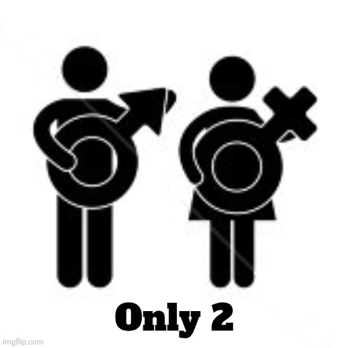 There Is Only Two | Only 2 | image tagged in there is only two | made w/ Imgflip meme maker