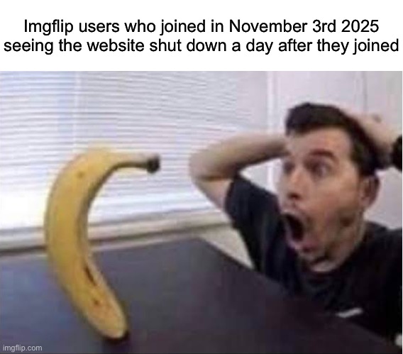 banana standing up | Imgflip users who joined in November 3rd 2025 seeing the website shut down a day after they joined | image tagged in banana standing up,msmg | made w/ Imgflip meme maker