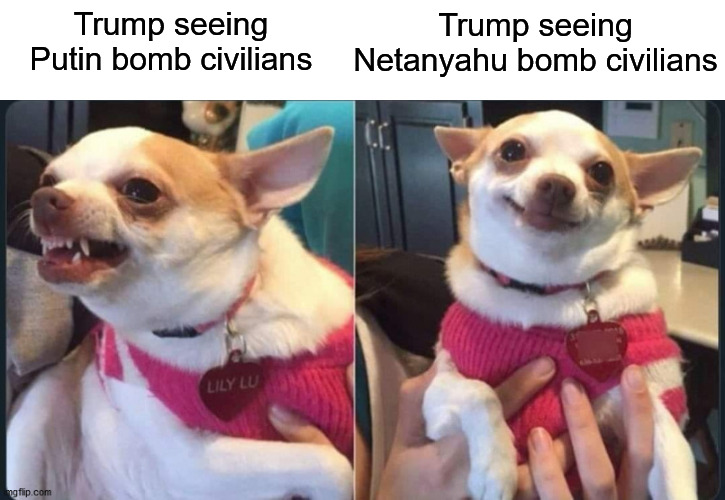 Trump seeing Netanyahu bomb civilians; Trump seeing Putin bomb civilians | image tagged in donald trump,vladimir putin,benjamin netanyahu,israel,palestine,ukraine | made w/ Imgflip meme maker