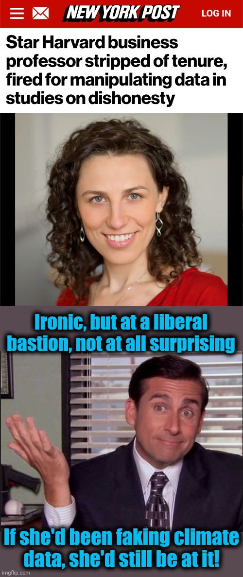 Oh, the irony.  And oh, the liberalism! | Ironic, but at a liberal bastion, not at all surprising; If she'd been faking climate
data, she'd still be at it! | image tagged in michael scott,memes,harvard,francesca gino,democrats,fake data | made w/ Imgflip meme maker