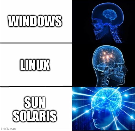 Galaxy Brain (3 brains) | WINDOWS; LINUX; SUN SOLARIS | image tagged in galaxy brain 3 brains | made w/ Imgflip meme maker