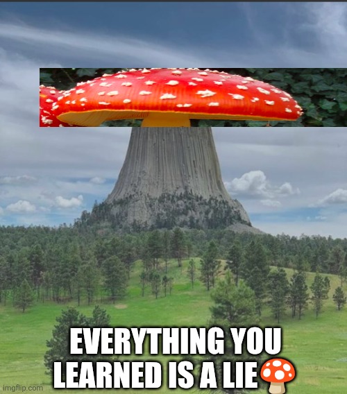 devilstower | EVERYTHING YOU LEARNED IS A LIE🍄 | image tagged in devilstower | made w/ Imgflip meme maker