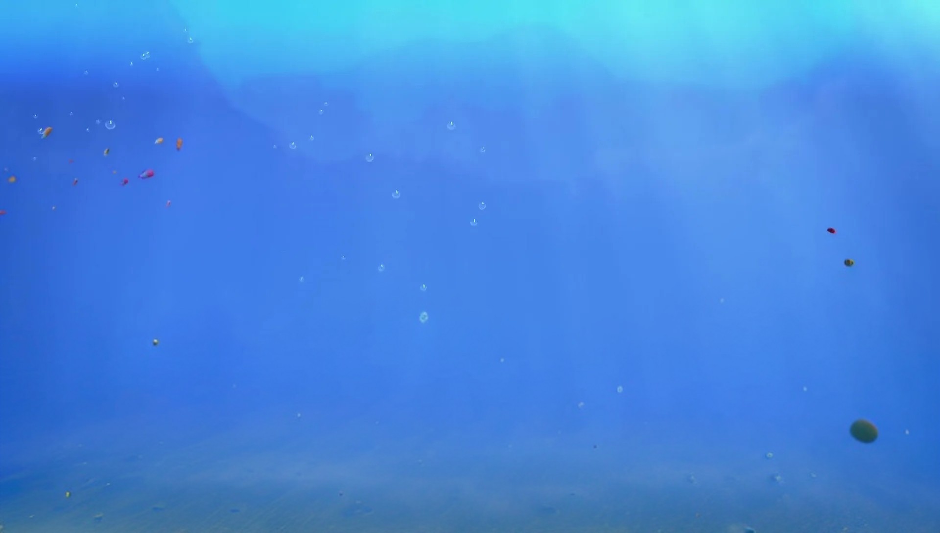 under the sea Blank Meme Template