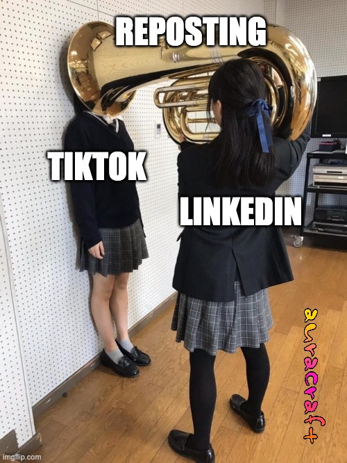 Reposting Content | REPOSTING; TIKTOK; LINKEDIN | image tagged in girl putting tuba on girl's head | made w/ Imgflip meme maker