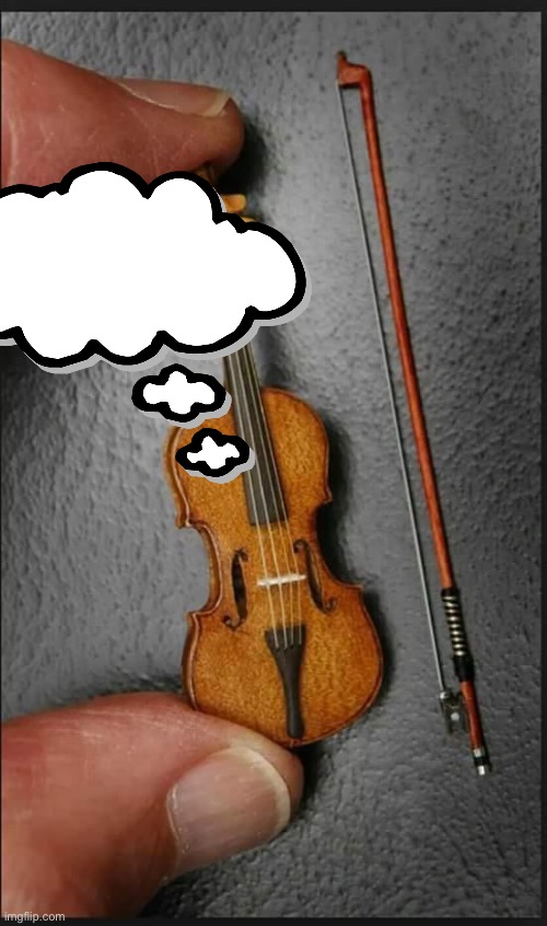 Smallest violin | image tagged in smallest violin | made w/ Imgflip meme maker