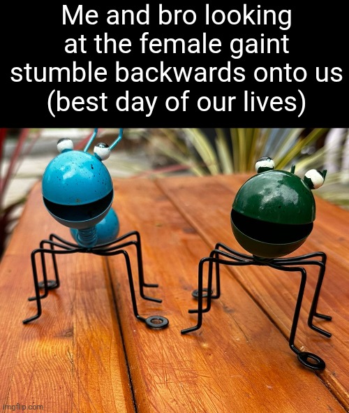 Me and bro looking at the female gaint stumble backwards onto us
(best day of our lives) | made w/ Imgflip meme maker